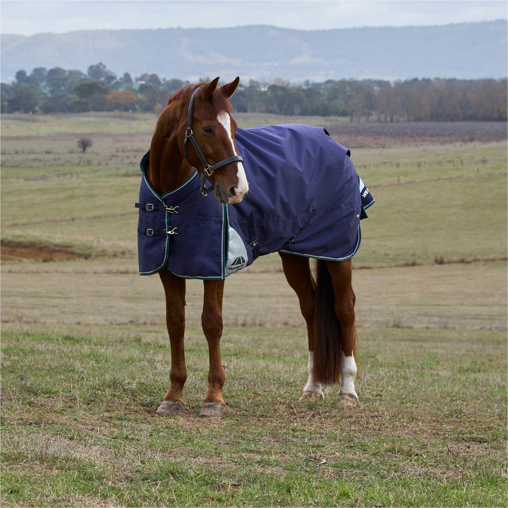2025 Weatherbeeta Comfitec Plus Dynamisch Sich Herausstellen 1029009 - Navy